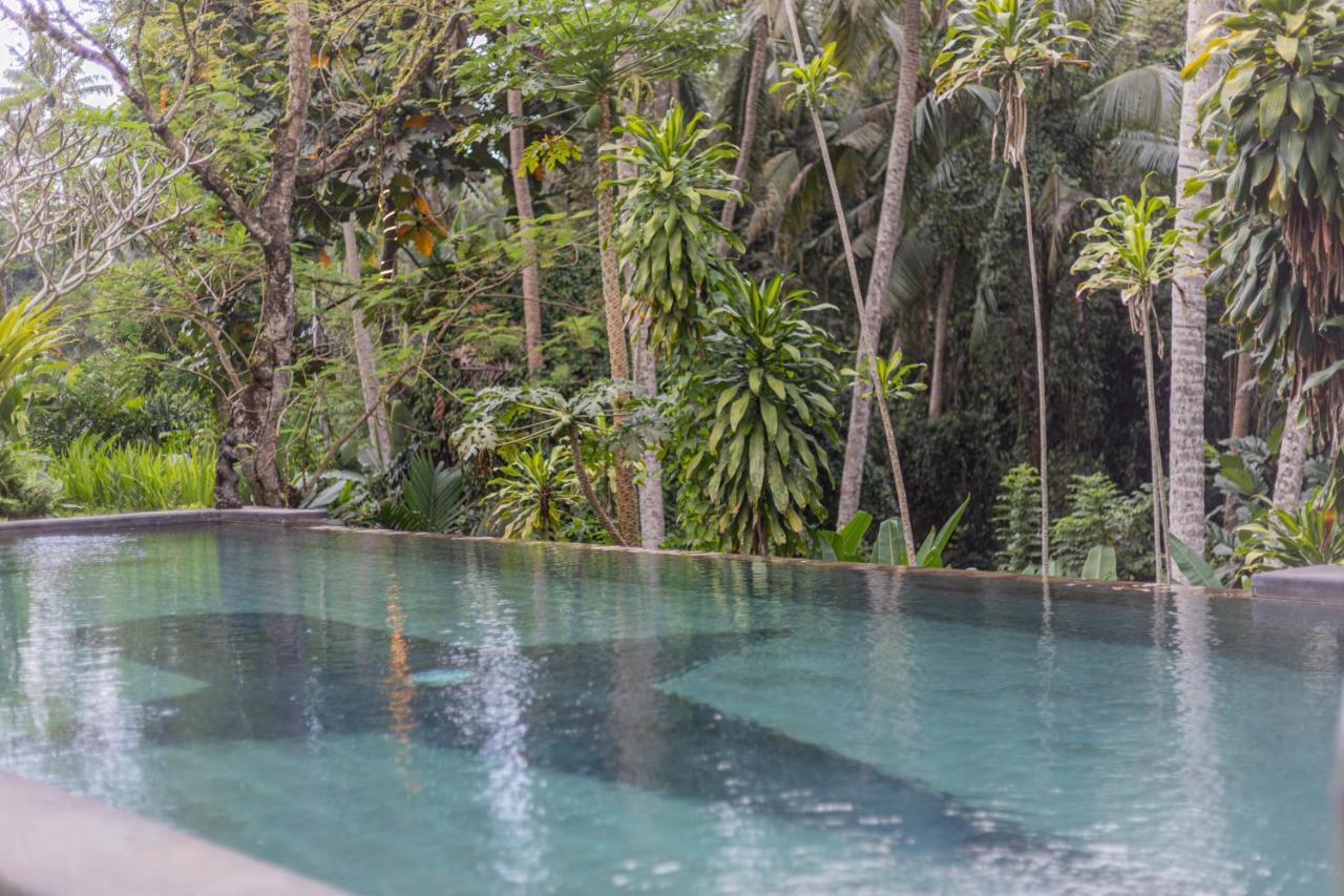 Suara Air Luxury Villa Ubud Zewnętrze zdjęcie