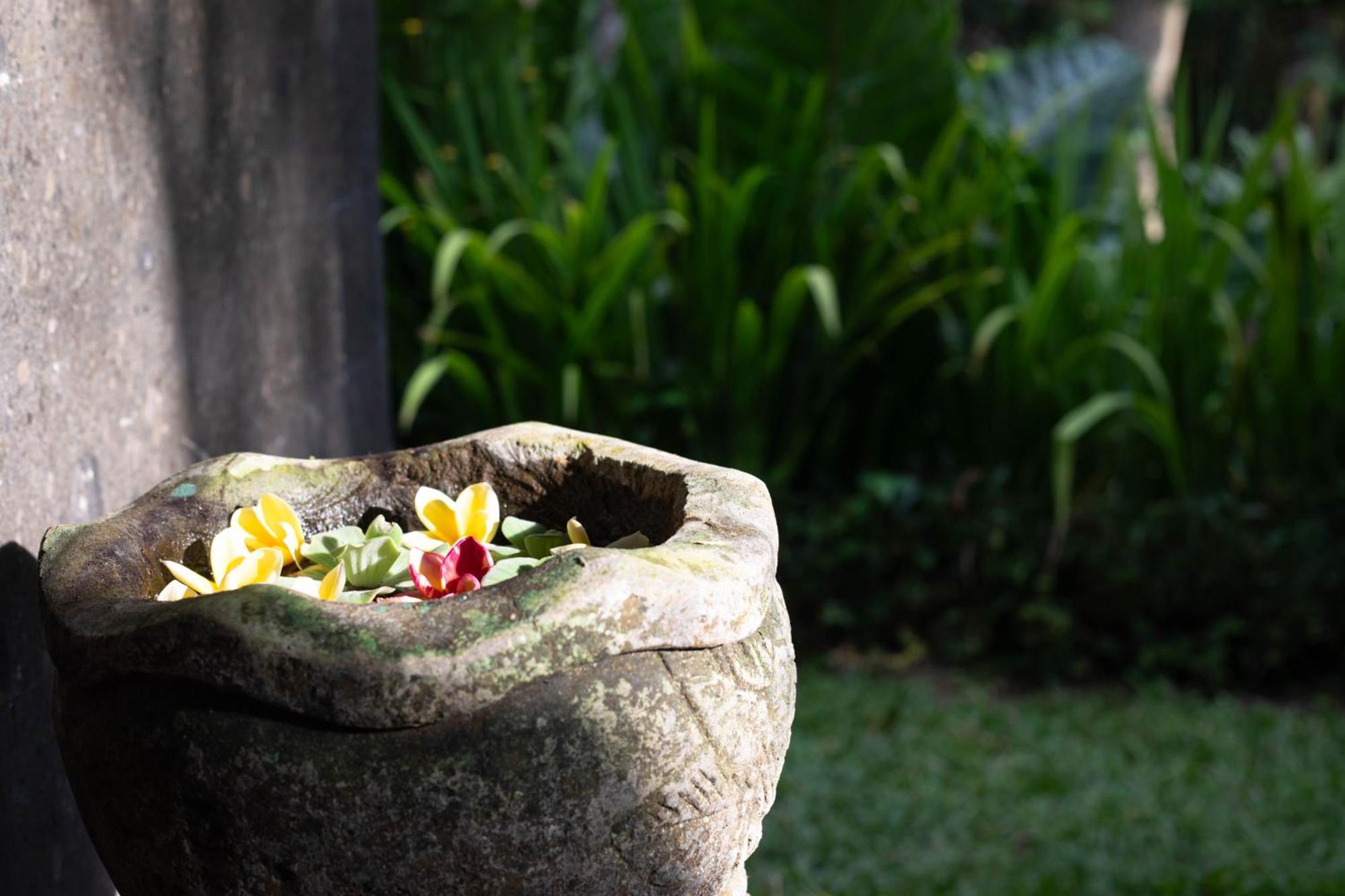 Suara Air Luxury Villa Ubud Zewnętrze zdjęcie